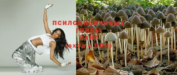 мдпв Волосово