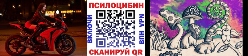 хочу   Каргополь  Псилоцибиновые грибы Psilocybine cubensis 