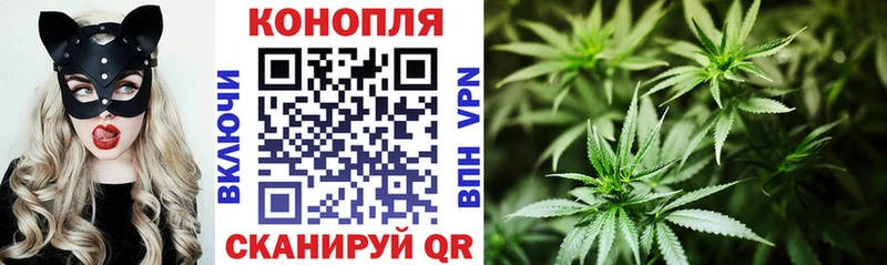 купить закладку кракен зеркало Конопля семена Каргополь